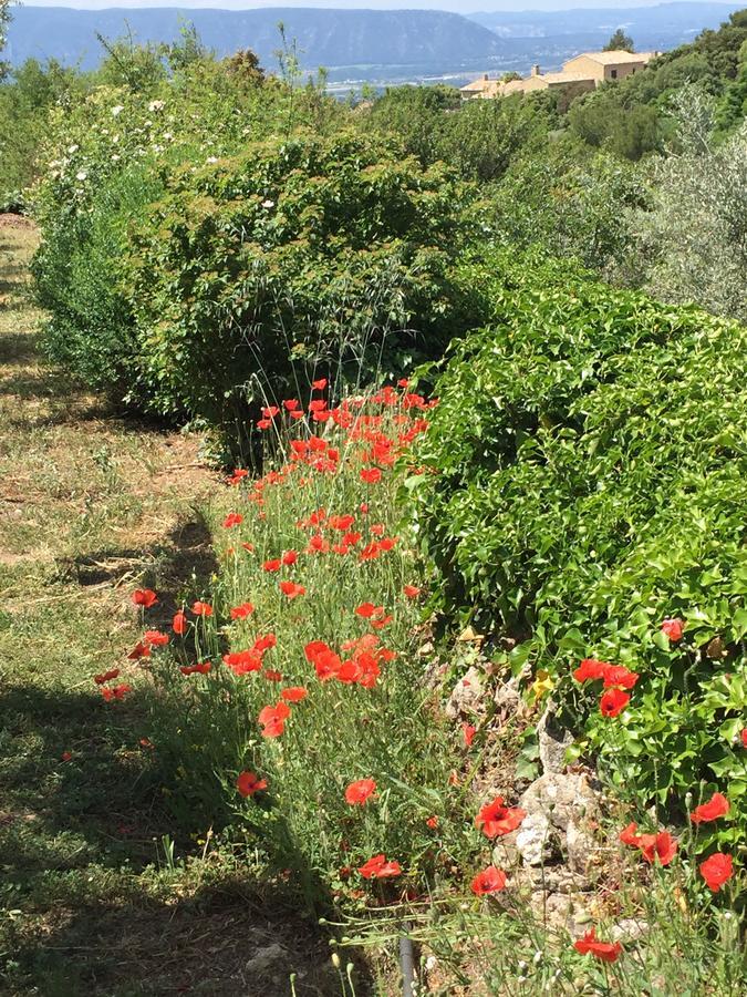 La Borie En Provence Bed and Breakfast Gordes Εξωτερικό φωτογραφία